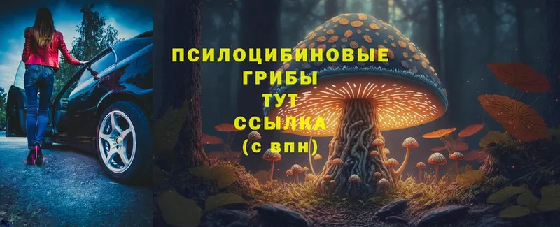 Галлюциногенные грибы Magic Shrooms  ОМГ ОМГ   Заинск 